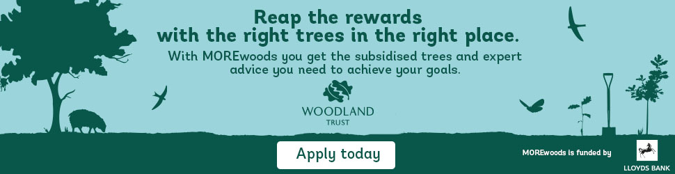 Right Tree Right Place - Woodland Trust advert on farming news site